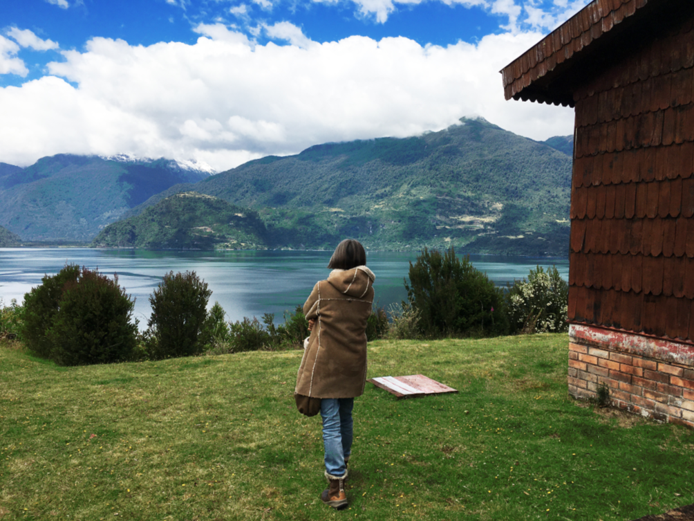 17- VIVI, FIORDO AND MOUNTAINS.jpg